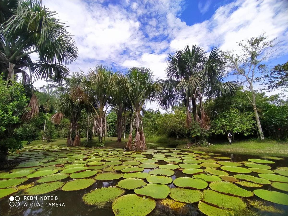 Jacamar Lodge Expeditions Iquitos Exteriér fotografie