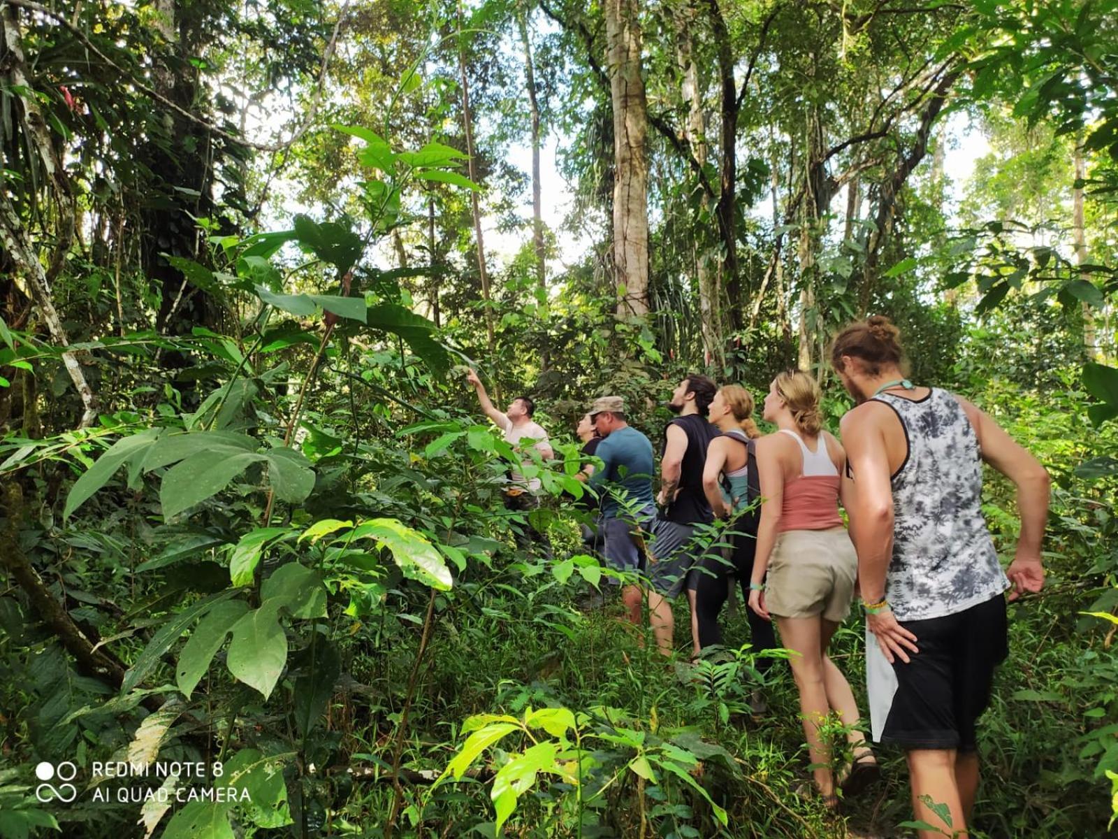 Jacamar Lodge Expeditions Iquitos Exteriér fotografie